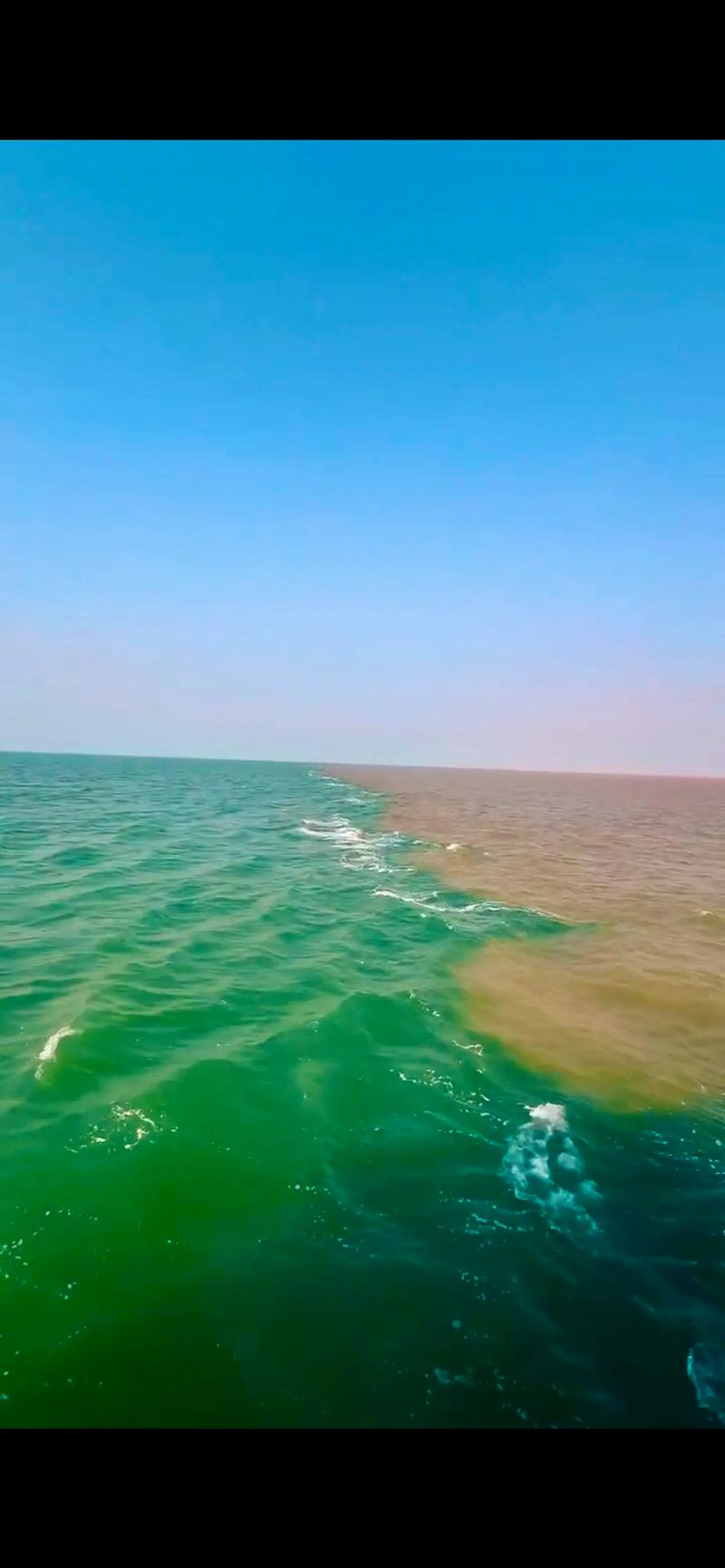 东营有哪些旅游景点,东营旅游-第6张图片-诗丽旅游网 东营有哪些旅游景点,东营旅游-第6张图片-诗丽旅游网