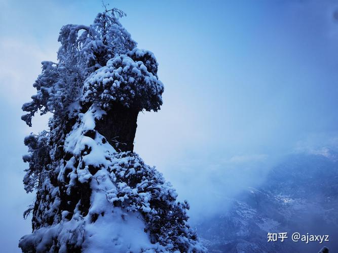 四川汉中旅游景点有哪些?四川汉中旅游景点有哪些好玩的?-第3张图片-诗丽旅游网 四川汉中旅游景点有哪些?四川汉中旅游景点有哪些好玩的?-第3张图片-诗丽旅游网