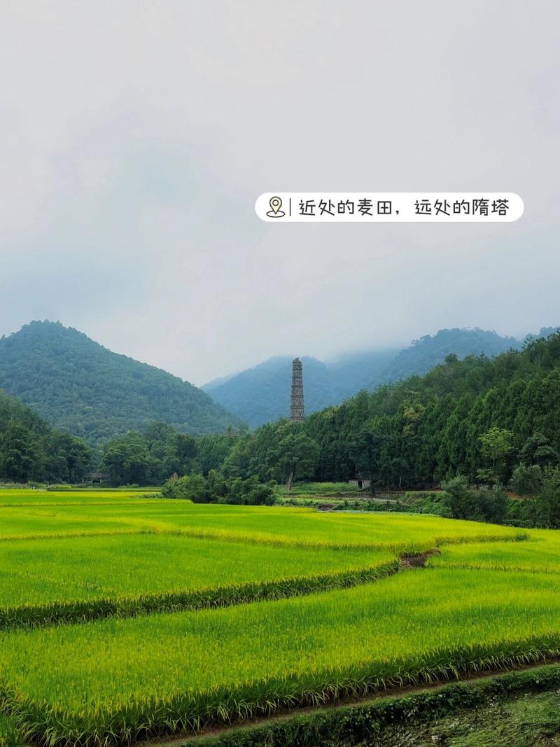 台州徒步路线推荐,台州徒步高难度路线推荐-第1张图片-诗丽旅游网 台州徒步路线推荐,台州徒步高难度路线推荐-第1张图片-诗丽旅游网