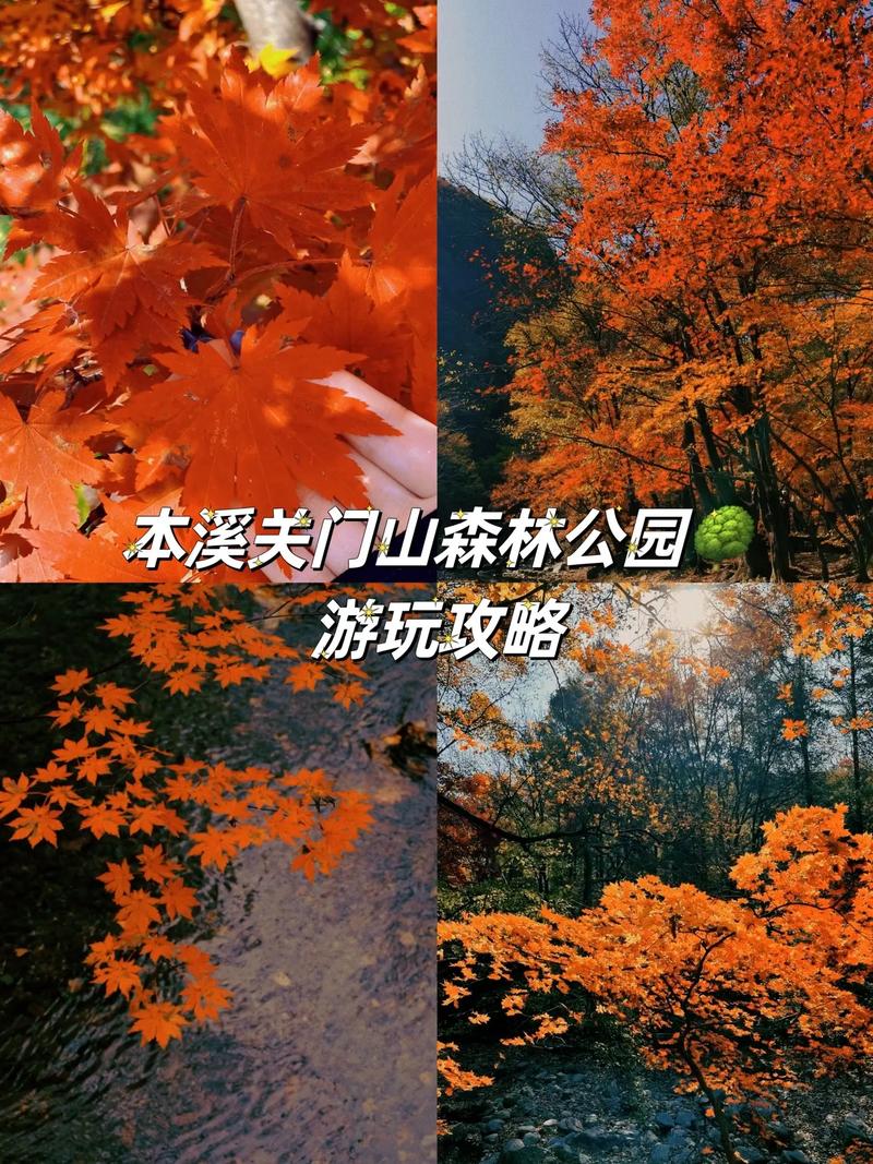 关山旅游攻略大全?关山旅游关山旅游景点?-第3张图片-诗丽旅游网 关山旅游攻略大全?关山旅游关山旅游景点?-第3张图片-诗丽旅游网