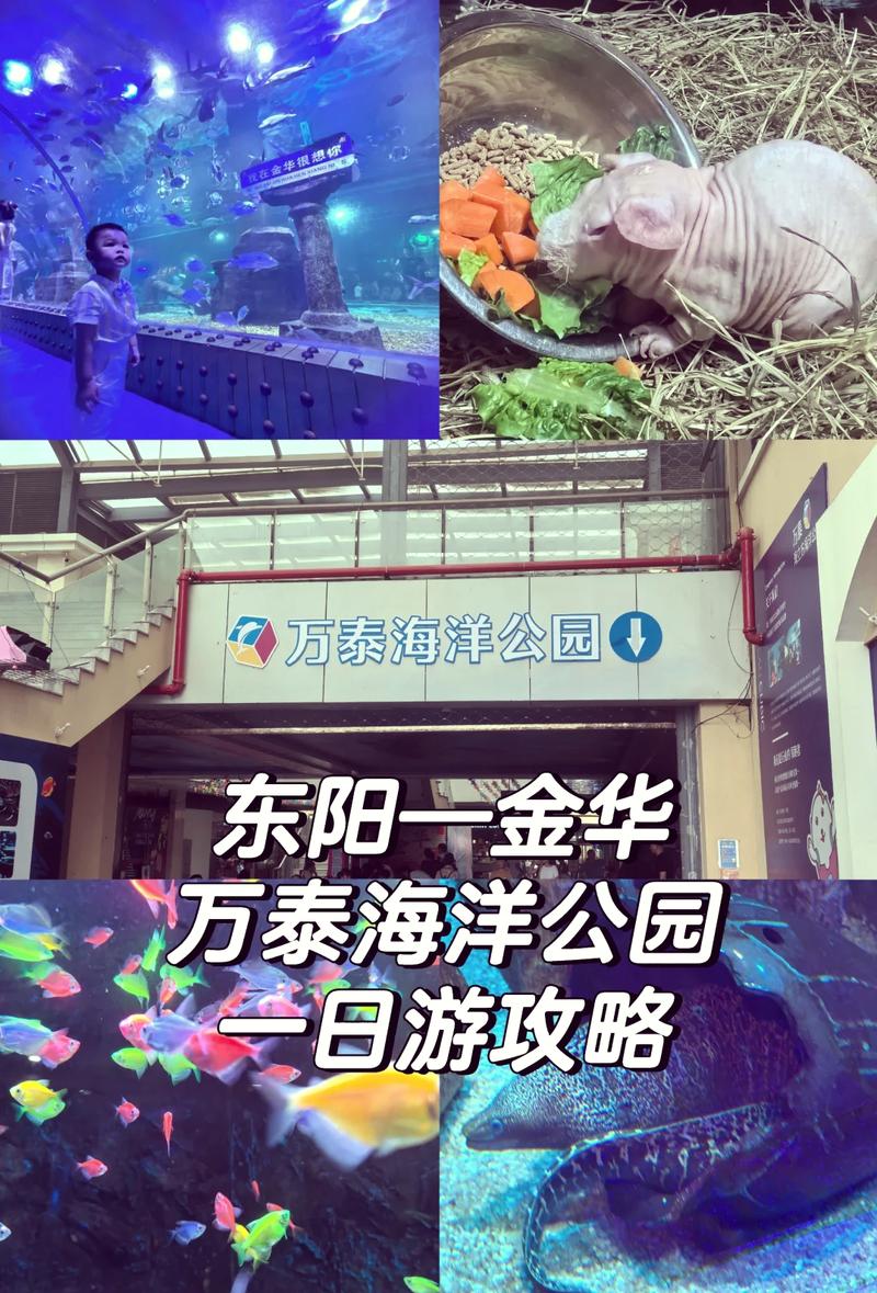金华旅游景点排名?金华旅游景点排名一日游?-第3张图片-诗丽旅游网 金华旅游景点排名?金华旅游景点排名一日游?-第3张图片-诗丽旅游网