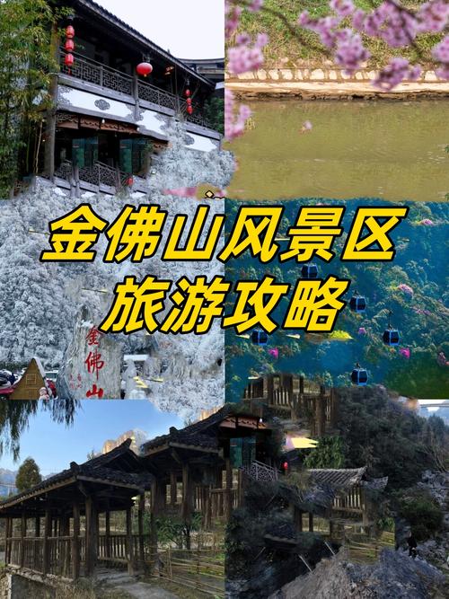 重庆金佛山两日游路线及景点,重庆金佛山一日游详细攻略-第4张图片-诗丽旅游网 重庆金佛山两日游路线及景点,重庆金佛山一日游详细攻略-第4张图片-诗丽旅游网