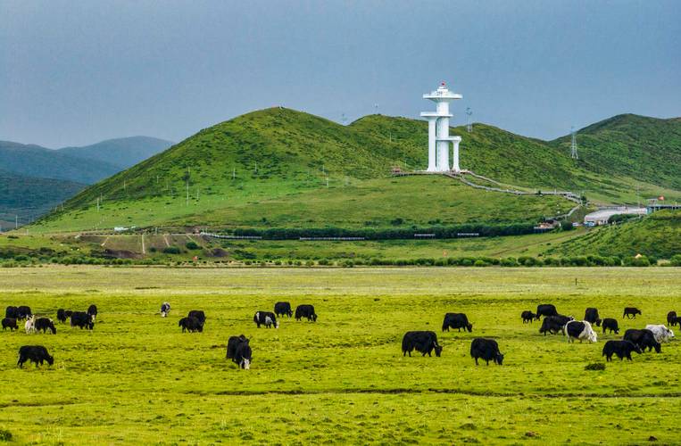 红原旅游景点有哪些地方好玩,红原旅游景点攻略?-第2张图片-诗丽旅游网 红原旅游景点有哪些地方好玩,红原旅游景点攻略?-第2张图片-诗丽旅游网