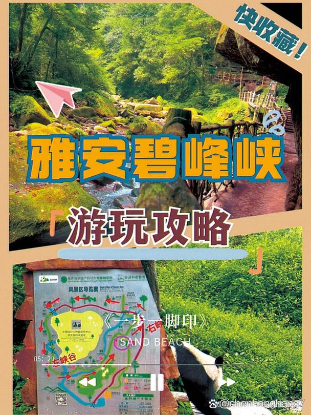 碧峰峡景区景点,碧峰峡景区景点图-第5张图片-诗丽旅游网 碧峰峡景区景点,碧峰峡景区景点图-第5张图片-诗丽旅游网