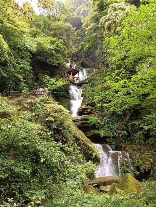 碧峰峡景区景点,碧峰峡景区景点图-第6张图片-诗丽旅游网 碧峰峡景区景点,碧峰峡景区景点图-第6张图片-诗丽旅游网