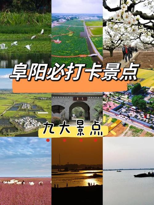 阜阳市旅游攻略景点必去的地方,阜阳旅游必去景点介绍?-第1张图片-诗丽旅游网 阜阳市旅游攻略景点必去的地方,阜阳旅游必去景点介绍?-第1张图片-诗丽旅游网