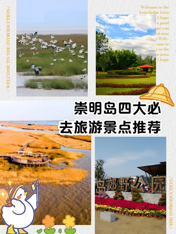 崇明岛旅游攻略二日游最佳路线,崇明岛一日游最佳路线-第1张图片-诗丽旅游网 崇明岛旅游攻略二日游最佳路线,崇明岛一日游最佳路线-第1张图片-诗丽旅游网