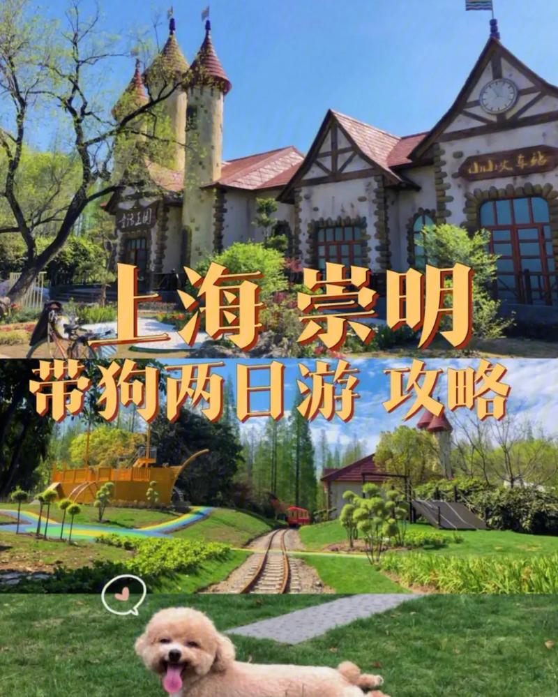 崇明岛旅游攻略二日游最佳路线,崇明岛一日游最佳路线-第3张图片-诗丽旅游网 崇明岛旅游攻略二日游最佳路线,崇明岛一日游最佳路线-第3张图片-诗丽旅游网