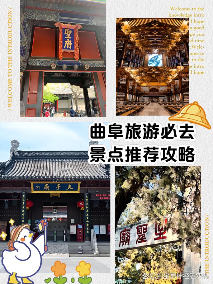 曲阜旅游攻略景点介绍?曲阜旅游攻略自驾游?-第4张图片-诗丽旅游网 曲阜旅游攻略景点介绍?曲阜旅游攻略自驾游?-第4张图片-诗丽旅游网