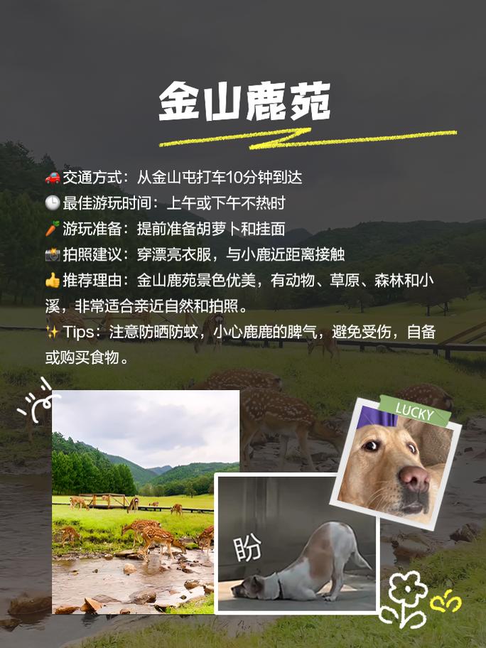 伊春自驾游路线,伊春自驾游路线图片-第6张图片-诗丽旅游网 伊春自驾游路线,伊春自驾游路线图片-第6张图片-诗丽旅游网