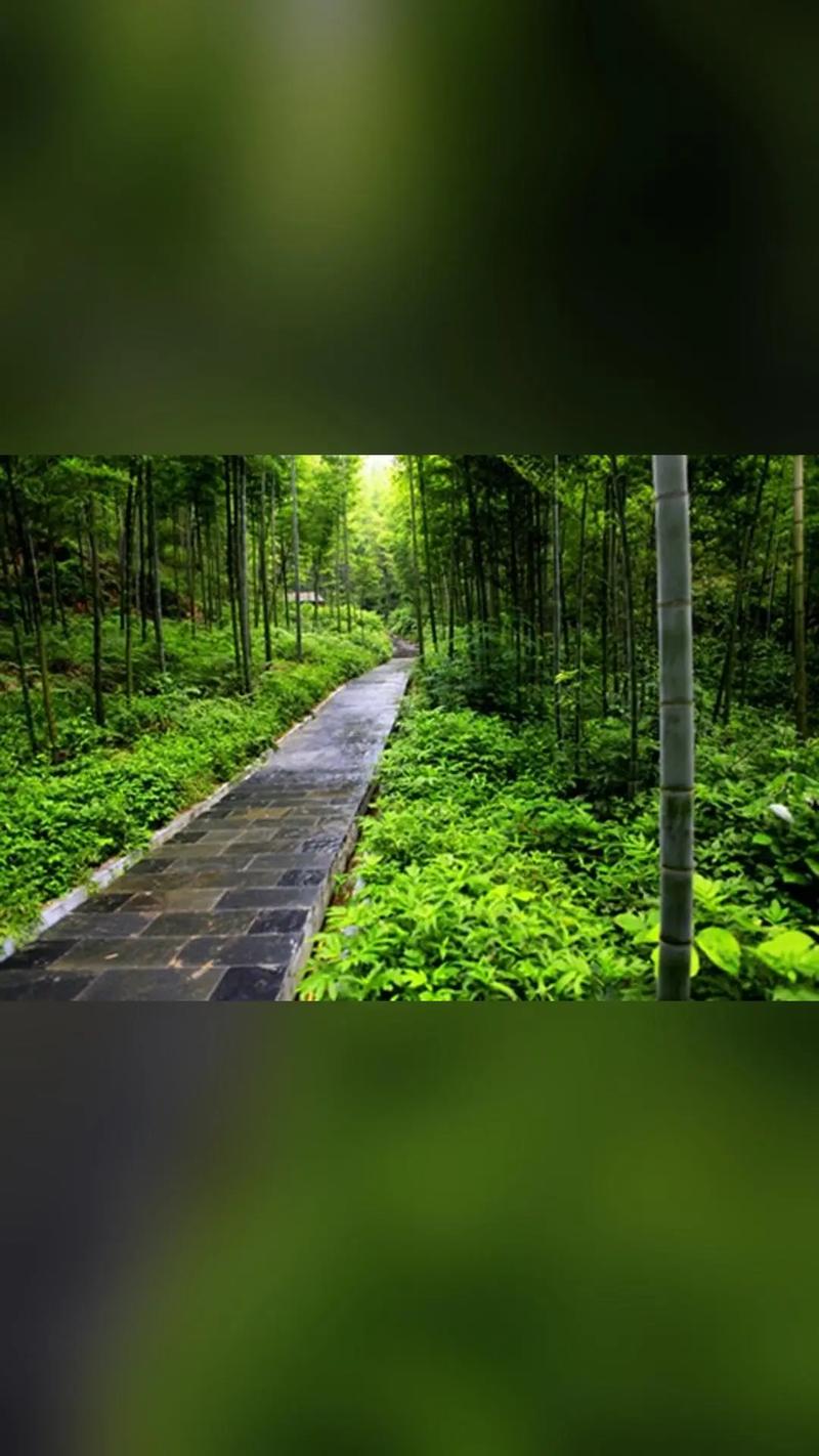 新都桥景点门票费用,新都桥风景区门票费用-第5张图片-诗丽旅游网 新都桥景点门票费用,新都桥风景区门票费用-第5张图片-诗丽旅游网