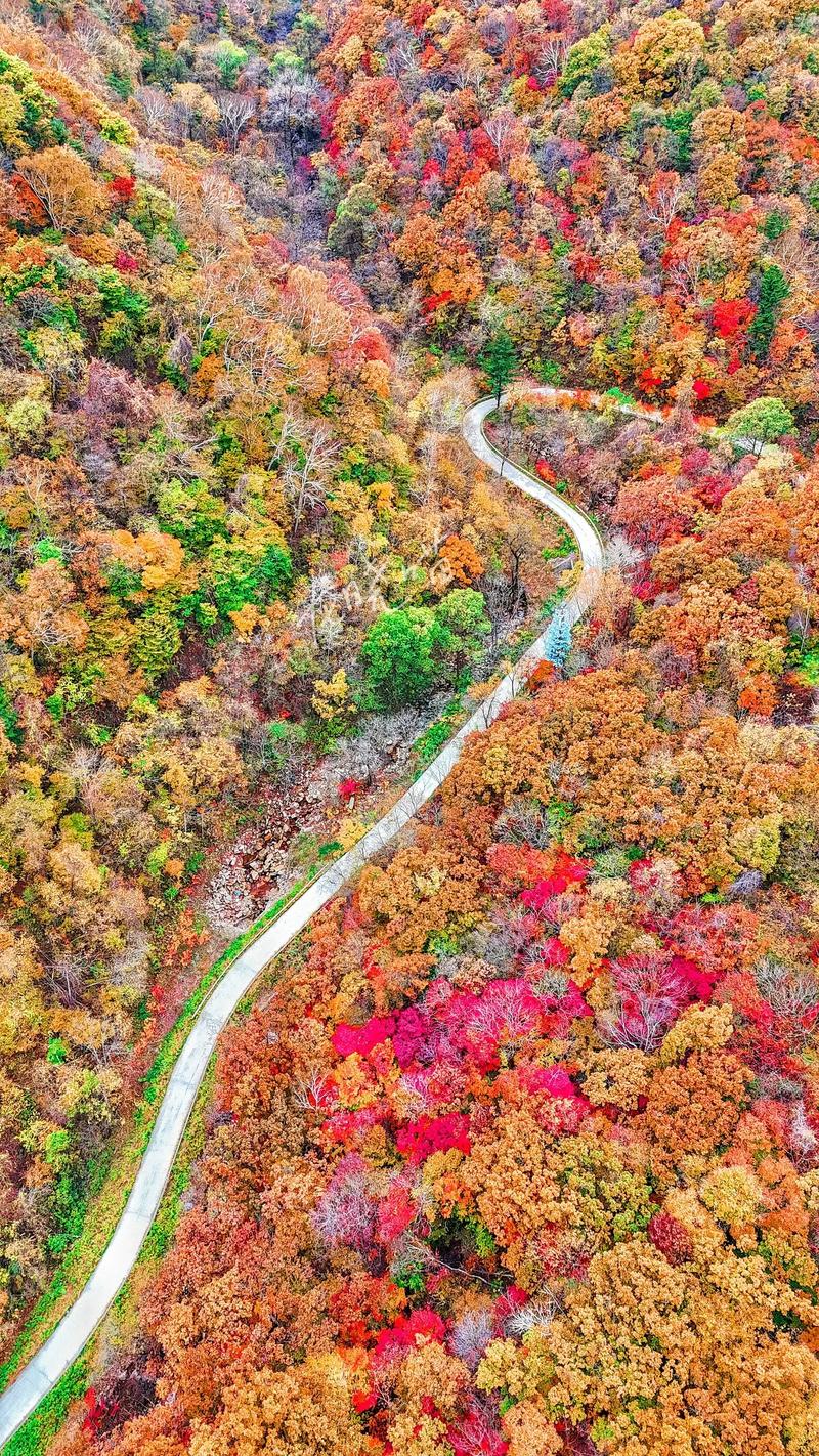 黑龙江伊春旅游景点l,黑龙江伊春旅游景点介绍?-第5张图片-诗丽旅游网 黑龙江伊春旅游景点l,黑龙江伊春旅游景点介绍?-第5张图片-诗丽旅游网
