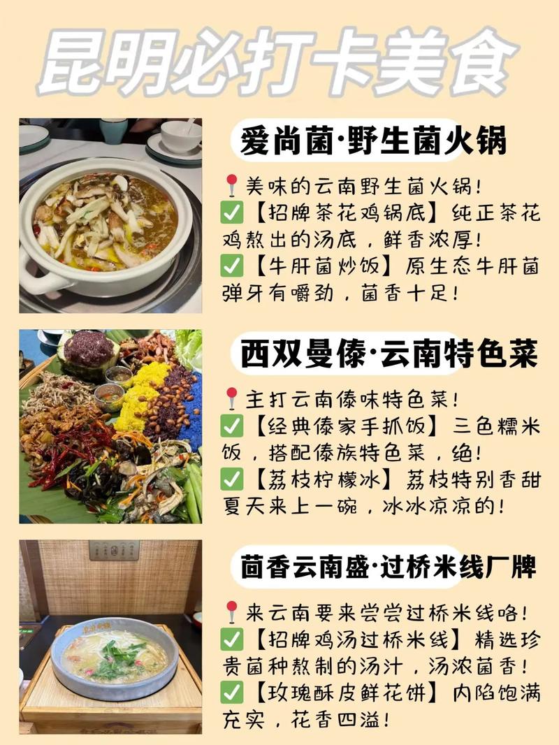 旅游攻略昆明?昆明旅游攻略路线最佳路线?-第5张图片-诗丽旅游网 旅游攻略昆明?昆明旅游攻略路线最佳路线?-第5张图片-诗丽旅游网