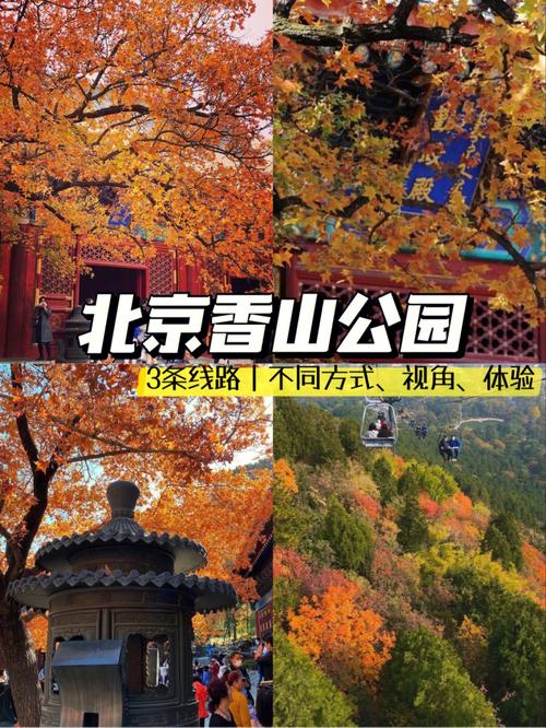 香山公园游玩路线,香山公园游园攻略-第5张图片-诗丽旅游网 香山公园游玩路线,香山公园游园攻略-第5张图片-诗丽旅游网