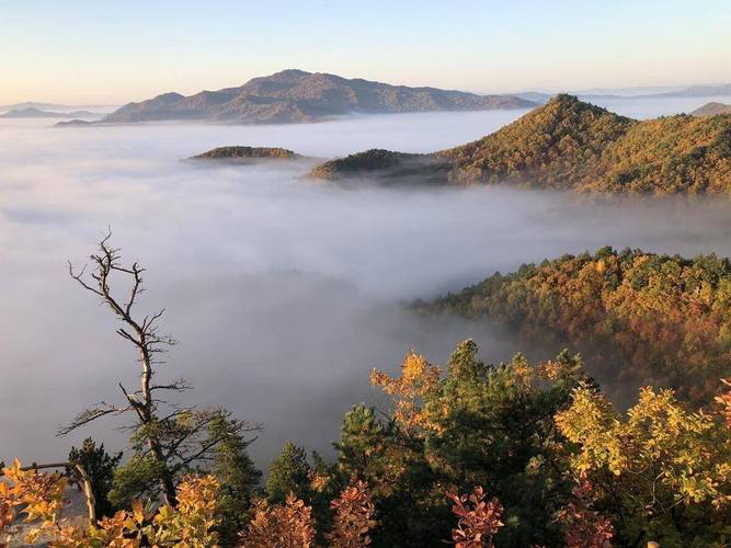伊春旅游的景点介绍,伊春旅游景点大全排名?-第2张图片-诗丽旅游网 伊春旅游的景点介绍,伊春旅游景点大全排名?-第2张图片-诗丽旅游网