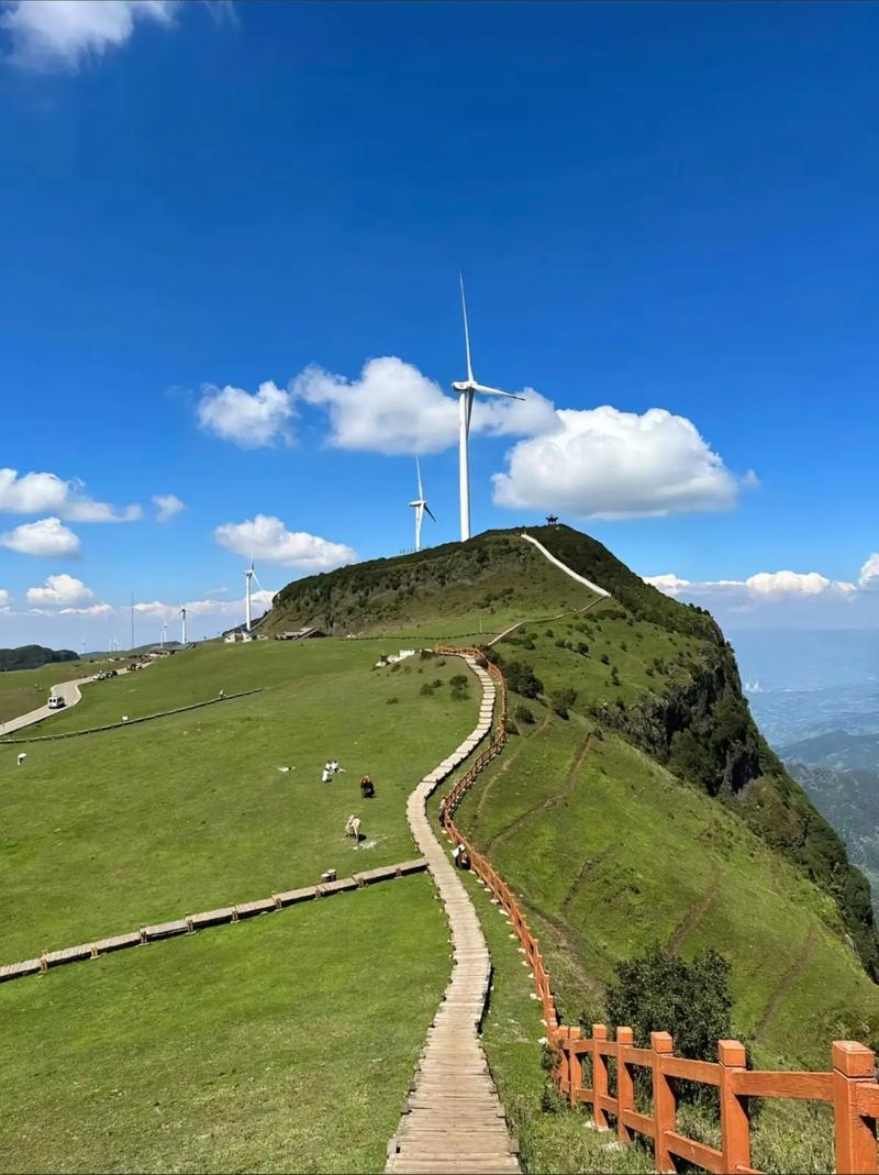 六盘水必去的五个景点门票多少,六盘水景点门票费用-第1张图片-诗丽旅游网 六盘水必去的五个景点门票多少,六盘水景点门票费用-第1张图片-诗丽旅游网