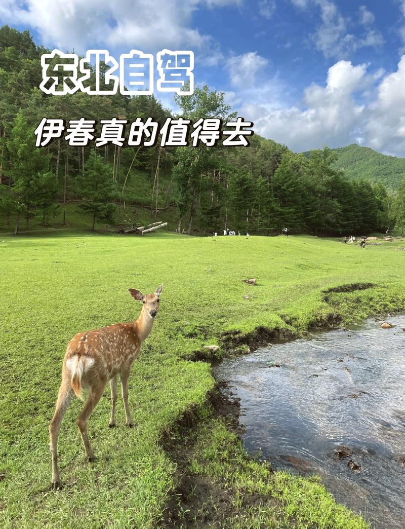 伊春旅游线路推荐?伊春旅游路线图?-第3张图片-诗丽旅游网 伊春旅游线路推荐?伊春旅游路线图?-第3张图片-诗丽旅游网