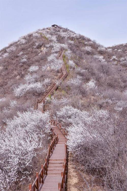 昌平游览景点,昌平好玩景点-第4张图片-诗丽旅游网 昌平游览景点,昌平好玩景点-第4张图片-诗丽旅游网