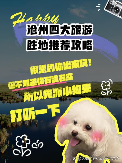 沧州市旅游攻略必去景点,沧州旅游景点大全排名 一日游?-第2张图片-诗丽旅游网 沧州市旅游攻略必去景点,沧州旅游景点大全排名 一日游?-第2张图片-诗丽旅游网