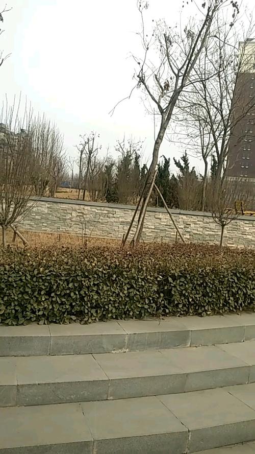 沧州旅游推荐路线?沧州旅游路线画画?-第2张图片-诗丽旅游网 沧州旅游推荐路线?沧州旅游路线画画?-第2张图片-诗丽旅游网