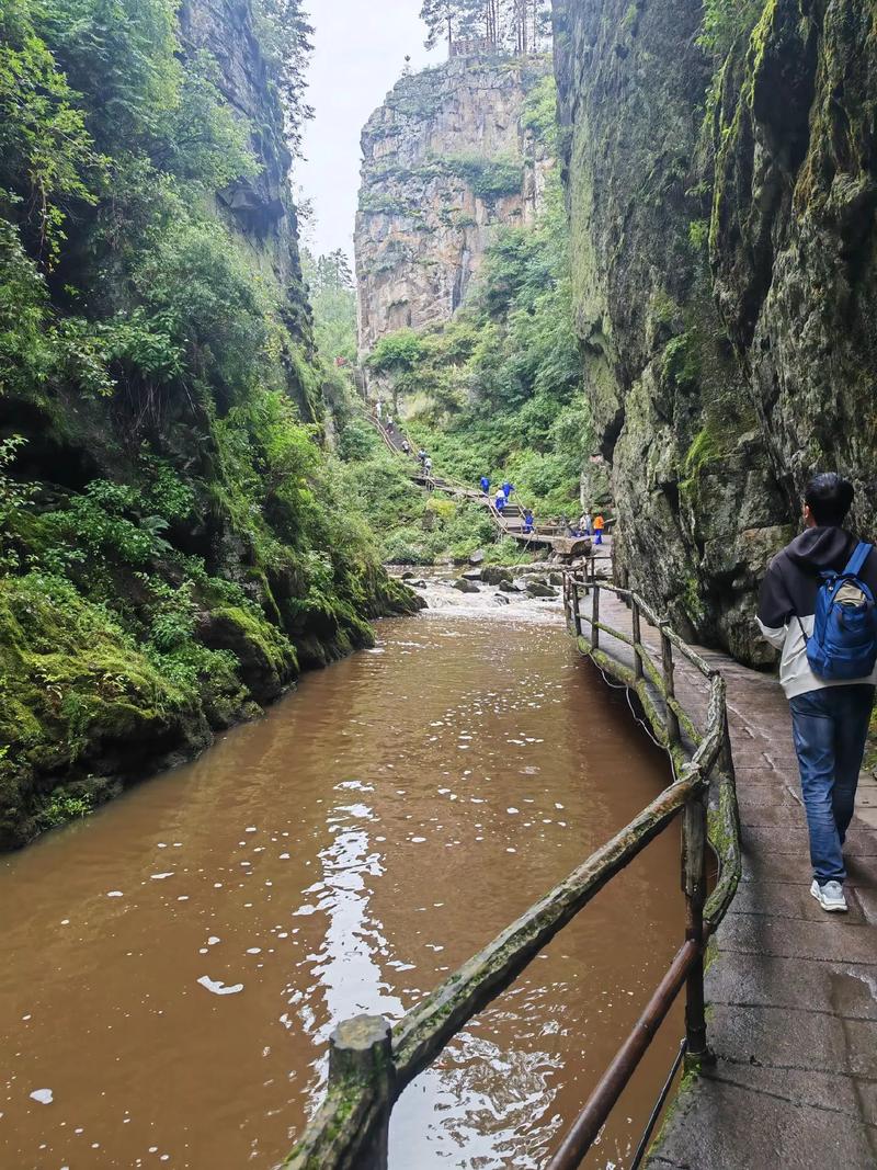 伊春旅游线路攻略?伊春 旅游 攻略?-第1张图片-诗丽旅游网 伊春旅游线路攻略?伊春 旅游 攻略?-第1张图片-诗丽旅游网
