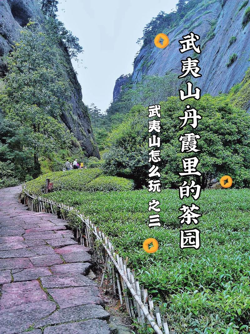 武夷山主要旅游景点介绍,武夷山景区介绍?-第4张图片-诗丽旅游网 武夷山主要旅游景点介绍,武夷山景区介绍?-第4张图片-诗丽旅游网