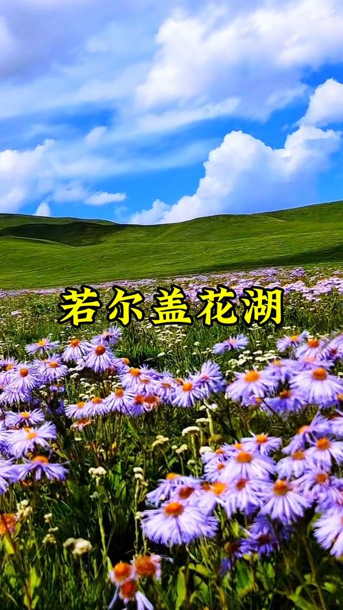 花湖旅游攻略路线推荐,花湖游玩时间-第1张图片-诗丽旅游网 花湖旅游攻略路线推荐,花湖游玩时间-第1张图片-诗丽旅游网