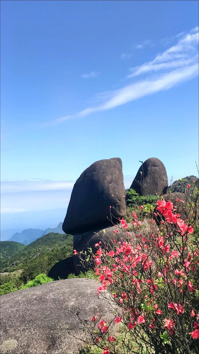 龙岩旅游景点大全排名,龙岩前十旅游景点大全?-第4张图片-诗丽旅游网 龙岩旅游景点大全排名,龙岩前十旅游景点大全?-第4张图片-诗丽旅游网