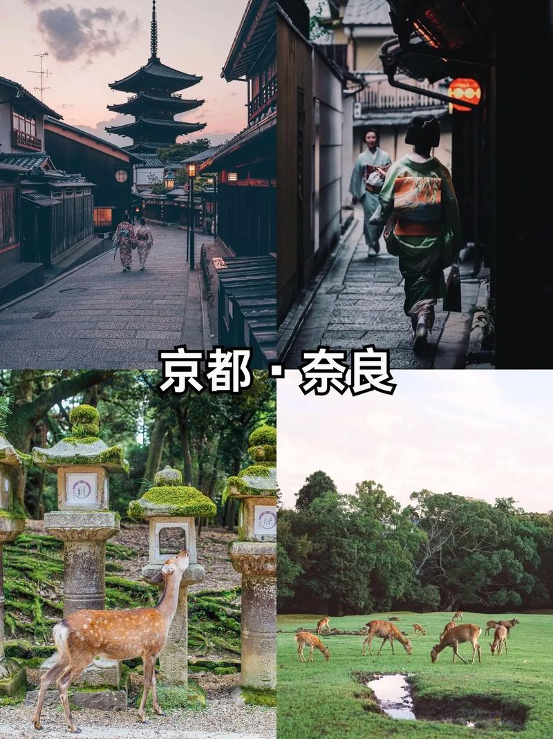 日本五日游旅游路线攻略?日本5天旅游线路设计?-第2张图片-诗丽旅游网 日本五日游旅游路线攻略?日本5天旅游线路设计?-第2张图片-诗丽旅游网