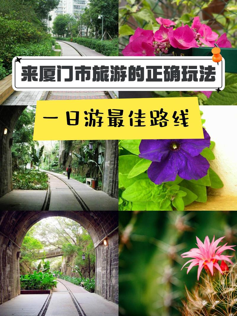 厦门旅游景点推荐表?厦门旅游指南推荐?-第4张图片-诗丽旅游网 厦门旅游景点推荐表?厦门旅游指南推荐?-第4张图片-诗丽旅游网
