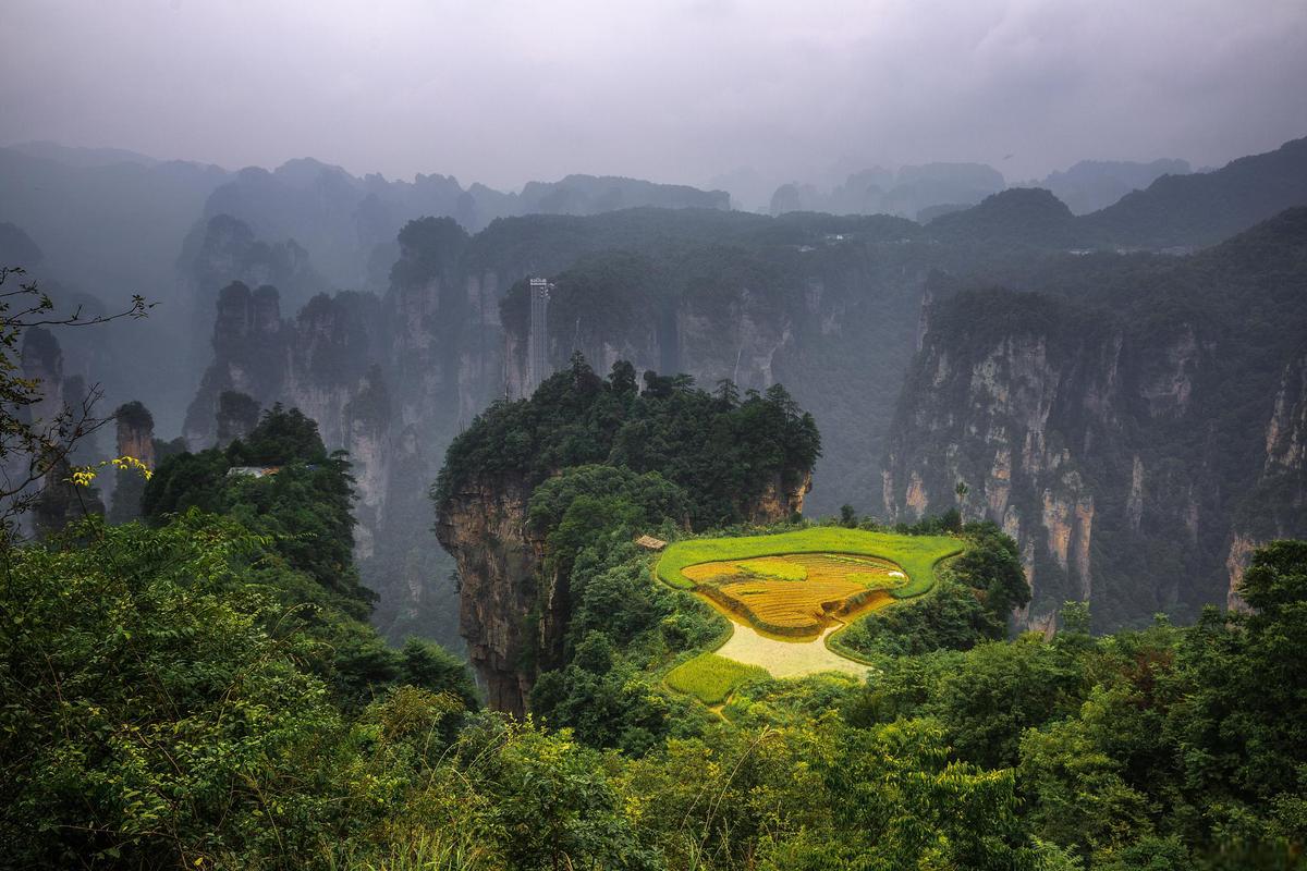 黄冈旅游必去前十景点有哪些,黄冈旅游必去前十景点有哪些呢?-第5张图片-诗丽旅游网 黄冈旅游必去前十景点有哪些,黄冈旅游必去前十景点有哪些呢?-第5张图片-诗丽旅游网