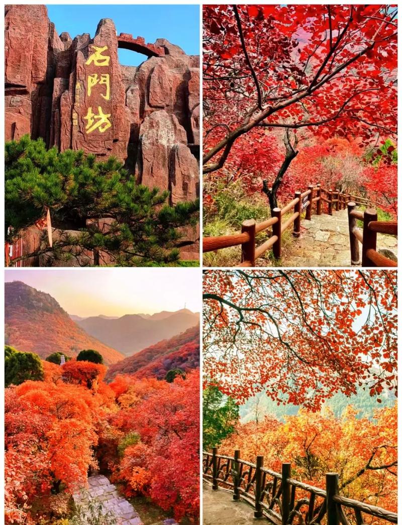 沂蒙山旅游攻略一日游路线,沂蒙山旅游景点攻略-第2张图片-诗丽旅游网 沂蒙山旅游攻略一日游路线,沂蒙山旅游景点攻略-第2张图片-诗丽旅游网