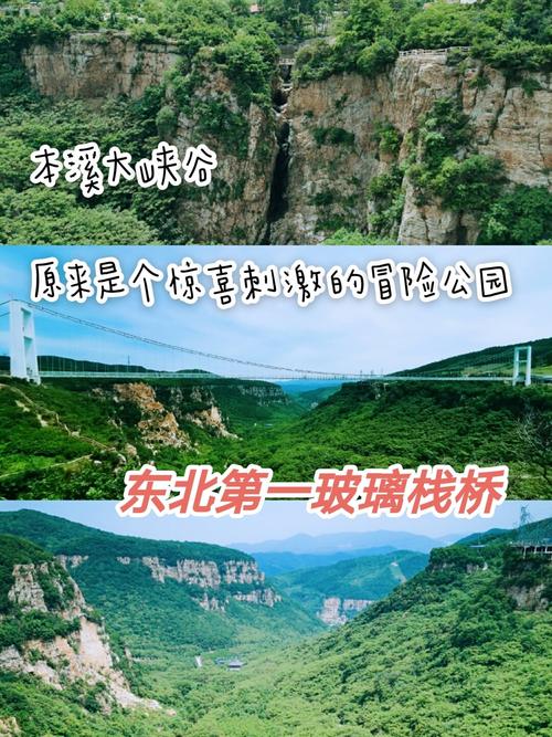 营口旅游景点大全自驾游路线推荐?营口旅游攻略自驾游?-第5张图片-诗丽旅游网 营口旅游景点大全自驾游路线推荐?营口旅游攻略自驾游?-第5张图片-诗丽旅游网
