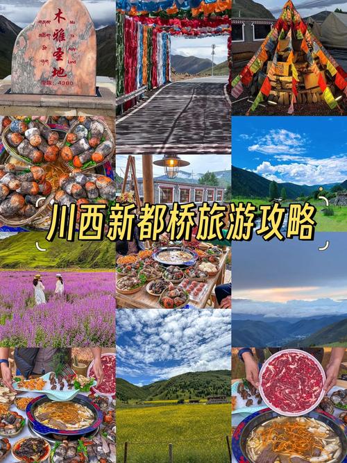 新都桥旅游攻略自驾游露营路线推荐,新都桥自驾露营地-第1张图片-诗丽旅游网 新都桥旅游攻略自驾游露营路线推荐,新都桥自驾露营地-第1张图片-诗丽旅游网