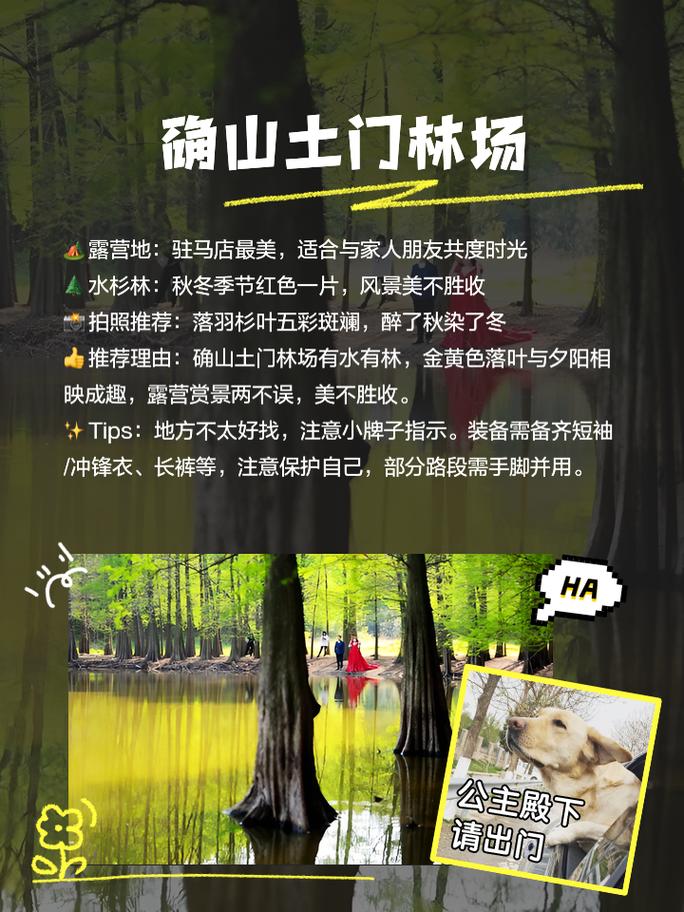 驻马店旅游推荐路线?驻马店旅游攻略必玩的景点?-第5张图片-诗丽旅游网 驻马店旅游推荐路线?驻马店旅游攻略必玩的景点?-第5张图片-诗丽旅游网