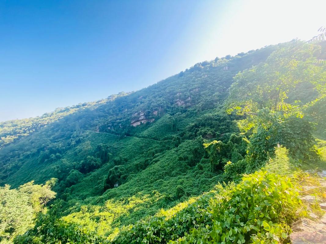 平山旅游路线攻略,平山旅游景点攻略?-第3张图片-诗丽旅游网 平山旅游路线攻略,平山旅游景点攻略?-第3张图片-诗丽旅游网