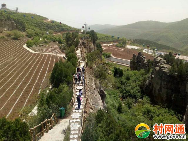 庆阳旅游攻略景点必去?庆阳旅游必去景点推荐?-第5张图片-诗丽旅游网 庆阳旅游攻略景点必去?庆阳旅游必去景点推荐?-第5张图片-诗丽旅游网