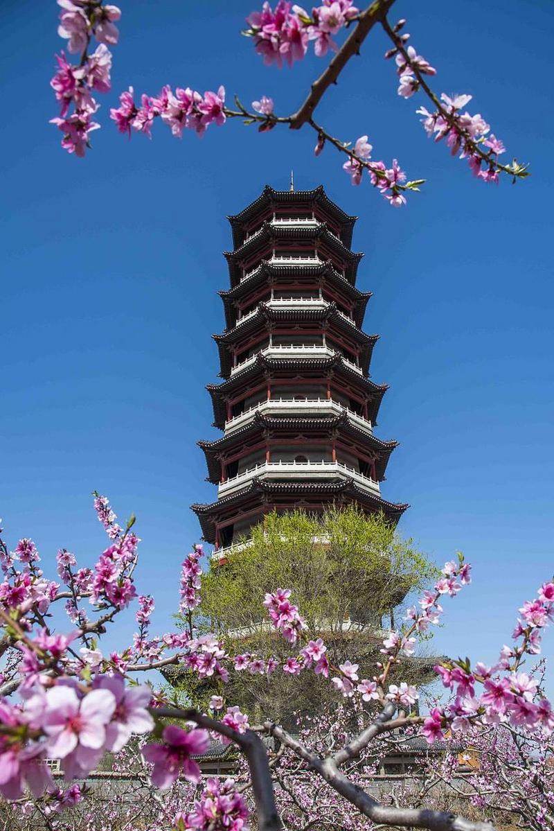 潍坊主要旅游景点排名?潍坊市主要旅游景点?-第5张图片-诗丽旅游网 潍坊主要旅游景点排名?潍坊市主要旅游景点?-第5张图片-诗丽旅游网
