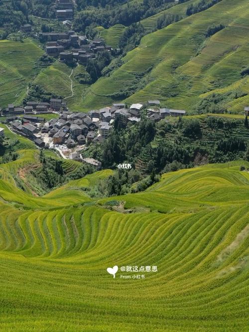 龙脊梯田旅游详细攻略,龙脊梯田旅游详细攻略一日游-第3张图片-诗丽旅游网 龙脊梯田旅游详细攻略,龙脊梯田旅游详细攻略一日游-第3张图片-诗丽旅游网