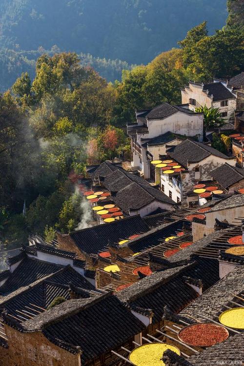 江西婺源旅游景点介绍?江西婺源旅游景点有哪些?-第1张图片-诗丽旅游网 江西婺源旅游景点介绍?江西婺源旅游景点有哪些?-第1张图片-诗丽旅游网
