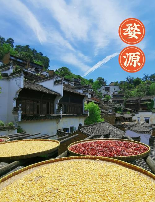 江西婺源旅游景点介绍?江西婺源旅游景点有哪些?-第6张图片-诗丽旅游网 江西婺源旅游景点介绍?江西婺源旅游景点有哪些?-第6张图片-诗丽旅游网