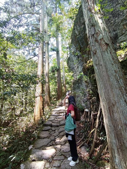 天目山旅游景点攻略一日游?天目山旅游景点攻略一日游?-第1张图片-诗丽旅游网 天目山旅游景点攻略一日游?天目山旅游景点攻略一日游?-第1张图片-诗丽旅游网