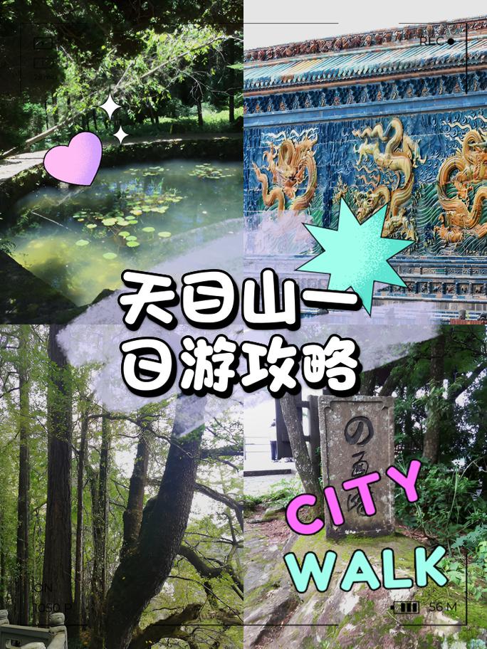 天目山旅游景点攻略一日游?天目山旅游景点攻略一日游?-第3张图片-诗丽旅游网 天目山旅游景点攻略一日游?天目山旅游景点攻略一日游?-第3张图片-诗丽旅游网