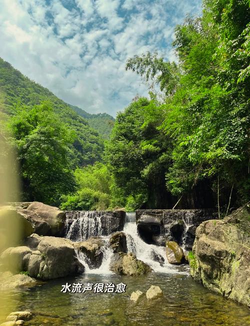 天目山旅游景点攻略一日游?天目山旅游景点攻略一日游?-第6张图片-诗丽旅游网 天目山旅游景点攻略一日游?天目山旅游景点攻略一日游?-第6张图片-诗丽旅游网