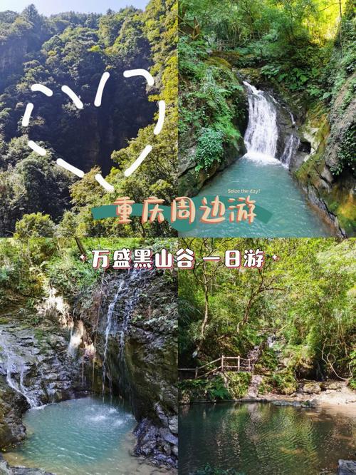 重庆的旅游景点在哪里?重庆的旅游著名景点?-第5张图片-诗丽旅游网 重庆的旅游景点在哪里?重庆的旅游著名景点?-第5张图片-诗丽旅游网