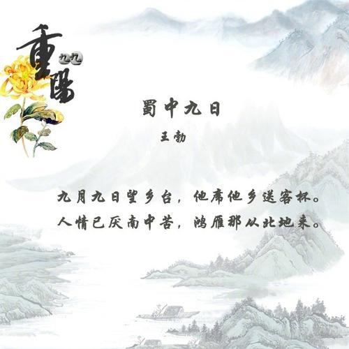 山东省烟台市旅游景点兴运岛,烟台兴运海尚生态渔业有限公司-第5张图片-诗丽旅游网 山东省烟台市旅游景点兴运岛,烟台兴运海尚生态渔业有限公司-第5张图片-诗丽旅游网
