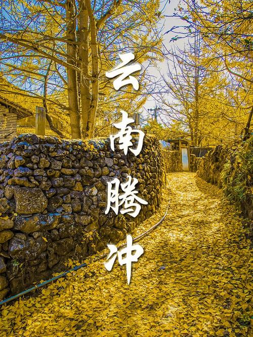 腾冲旅游攻略必去景点介绍?腾冲旅游攻略必去景点自驾游?-第4张图片-诗丽旅游网 腾冲旅游攻略必去景点介绍?腾冲旅游攻略必去景点自驾游?-第4张图片-诗丽旅游网
