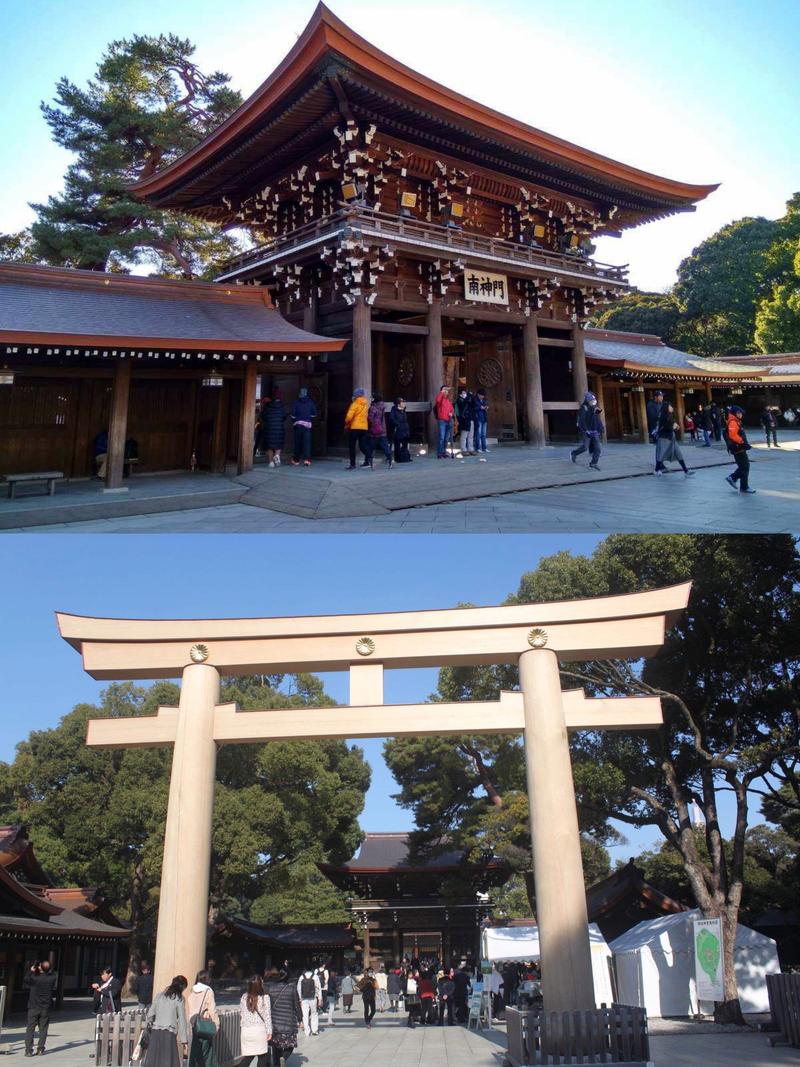 东京旅游攻略必去景点有哪些,东京旅游攻略必去景点有哪些城市-第6张图片-诗丽旅游网 东京旅游攻略必去景点有哪些,东京旅游攻略必去景点有哪些城市-第6张图片-诗丽旅游网