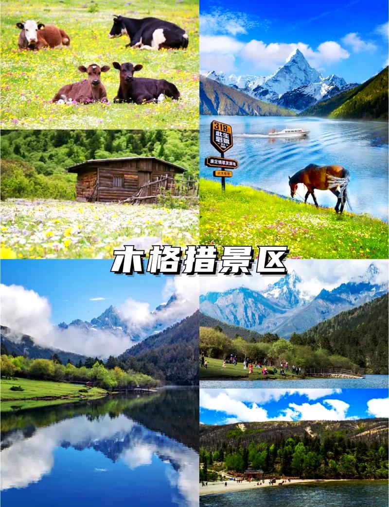 海螺沟自由行攻略,海螺沟景区怎么玩?-第3张图片-诗丽旅游网 海螺沟自由行攻略,海螺沟景区怎么玩?-第3张图片-诗丽旅游网