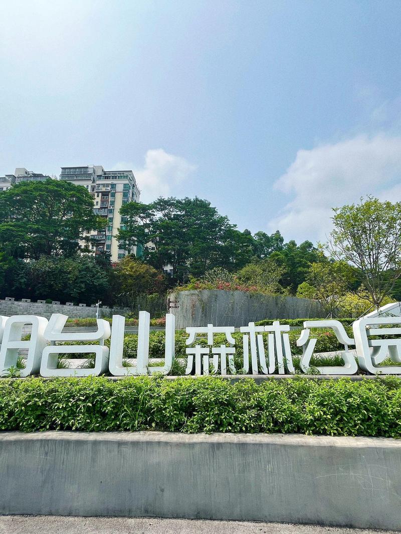 深圳旅游路线设计方案,深圳旅游路线图-第2张图片-诗丽旅游网 深圳旅游路线设计方案,深圳旅游路线图-第2张图片-诗丽旅游网
